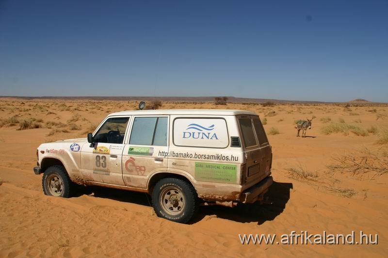 IMG_3546.JPG