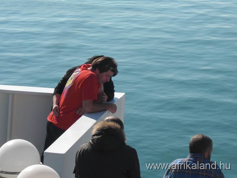 IMG_4287.JPG