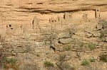 IMG_3845