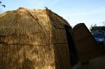 IMG_3904