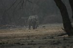 IMG_3994
