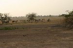 IMG_4174