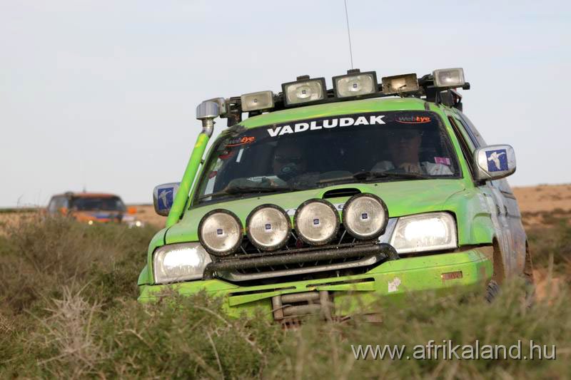 B2B2011_204.jpg