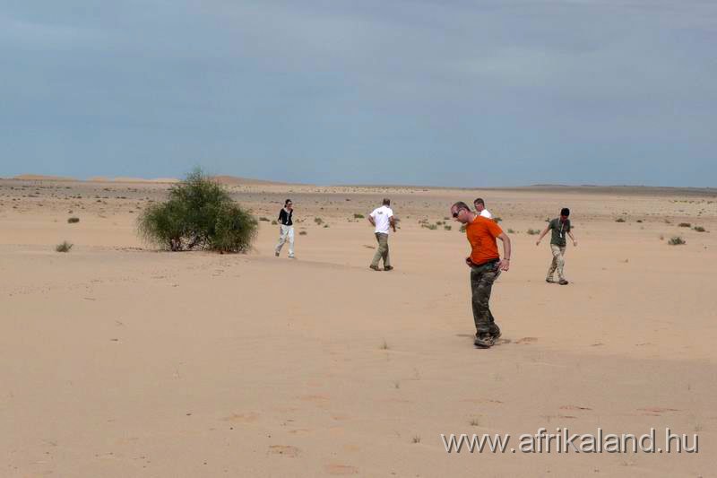 B2B2011_357.jpg