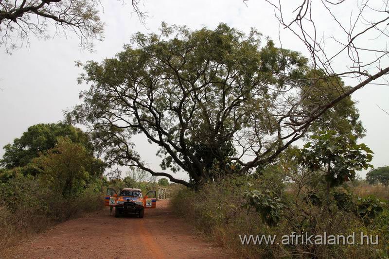 2011Burkina_0002.jpg