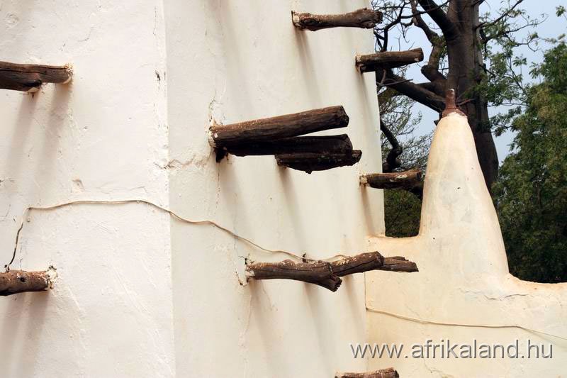 2011Burkina_0034.jpg - A teakfa karókat nem eszi a termesz. Ezen másznak fel, ha renoválni kell