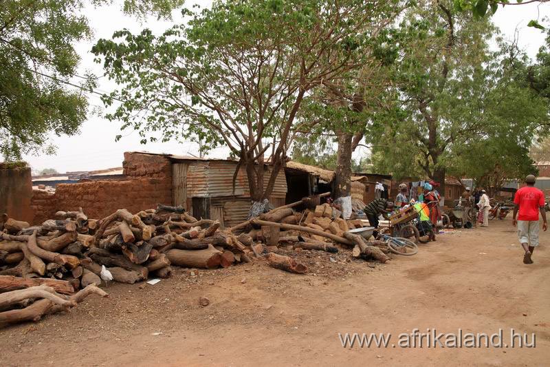 2011Burkina_0060.jpg