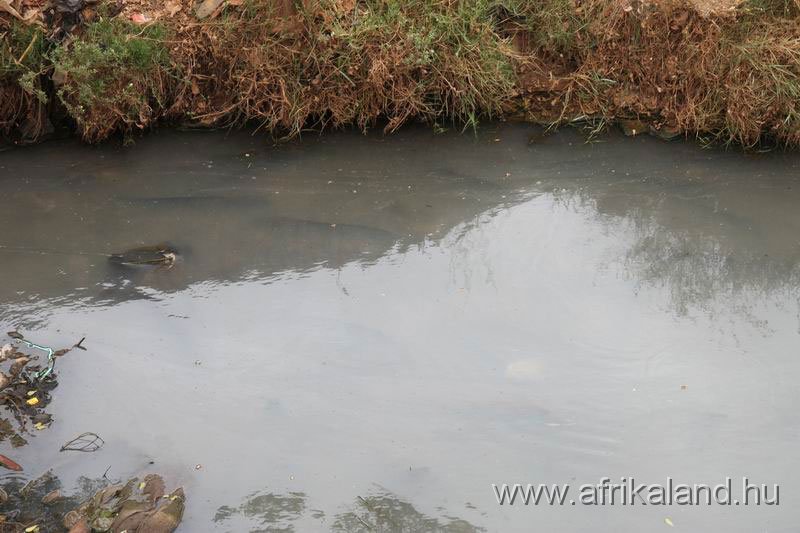 2011Burkina_0085.jpg