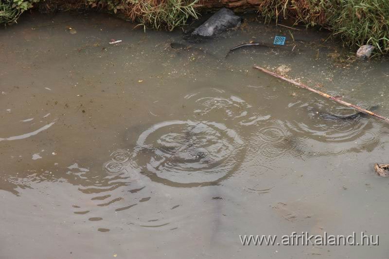 2011Burkina_0090.jpg - Szent halak. Ha elpusztulnak, eltemetik őket