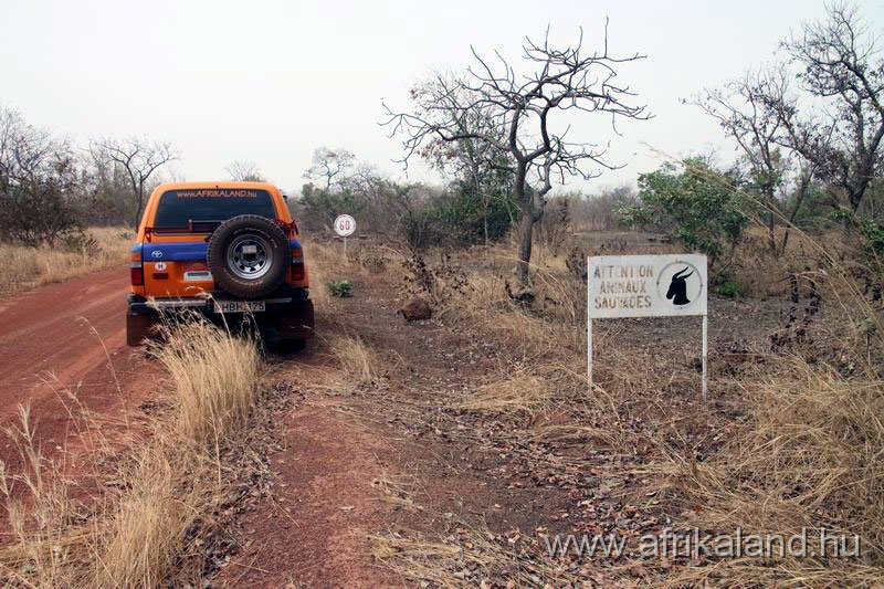 2011Burkina_0143.jpg
