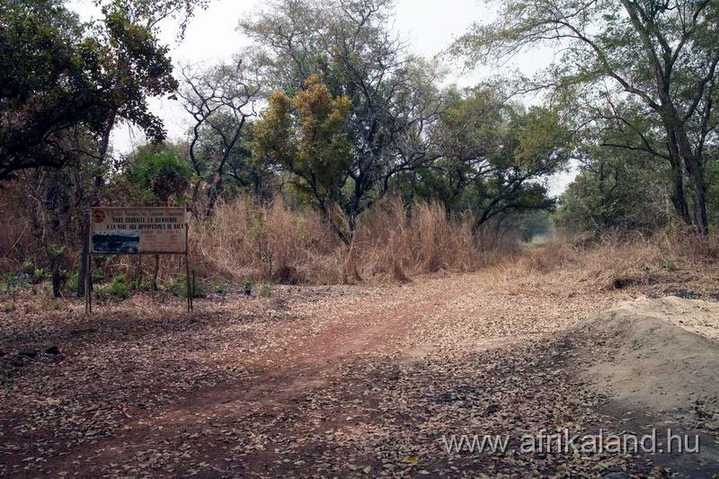 2011Burkina_0148.jpg