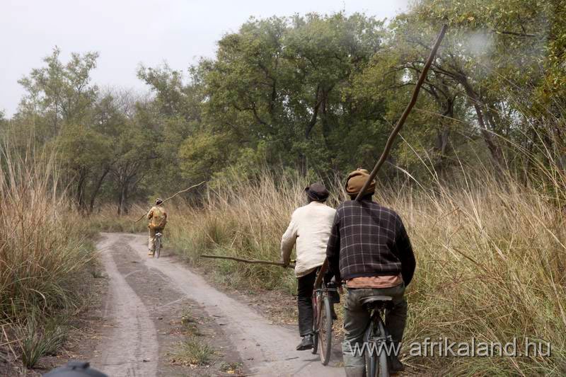 2011Burkina_0152.jpg - Révészek még szárazon