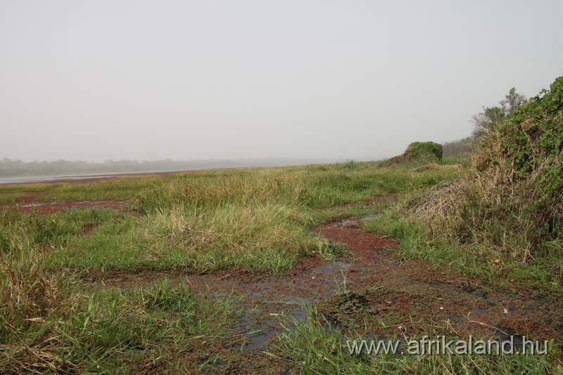 2011Burkina_0153.jpg