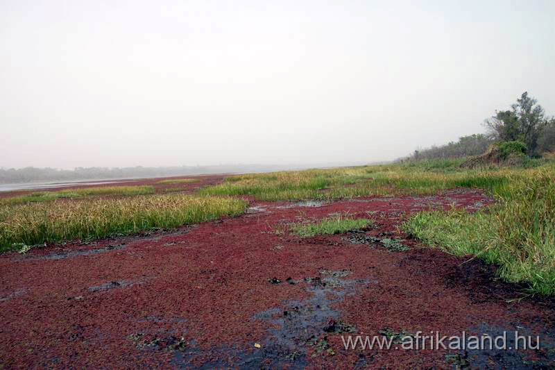 2011Burkina_0154.jpg