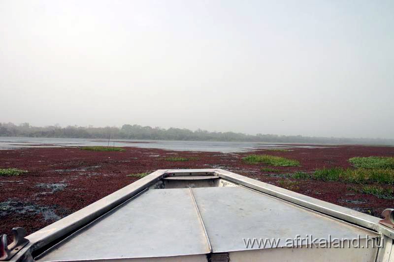 2011Burkina_0155.jpg