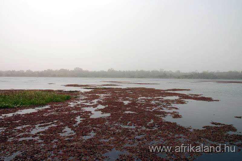 2011Burkina_0156.jpg