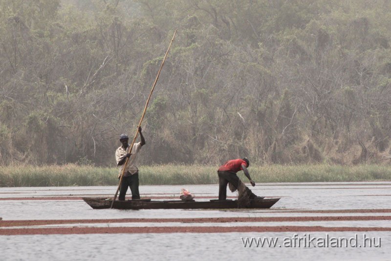 2011Burkina_0158.jpg