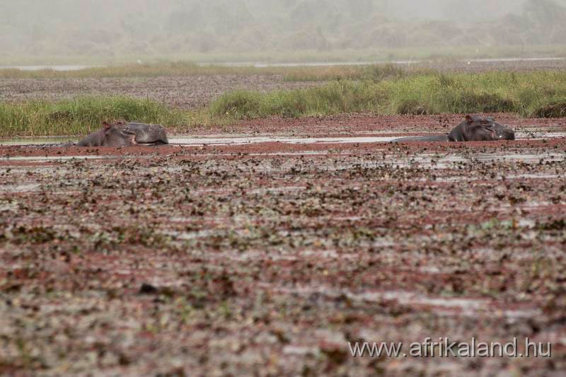 2011Burkina_0162.jpg