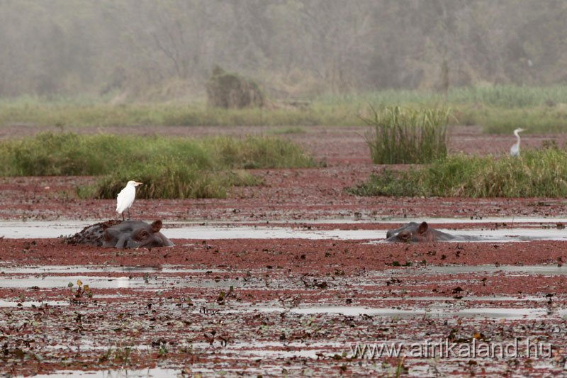 2011Burkina_0169.jpg