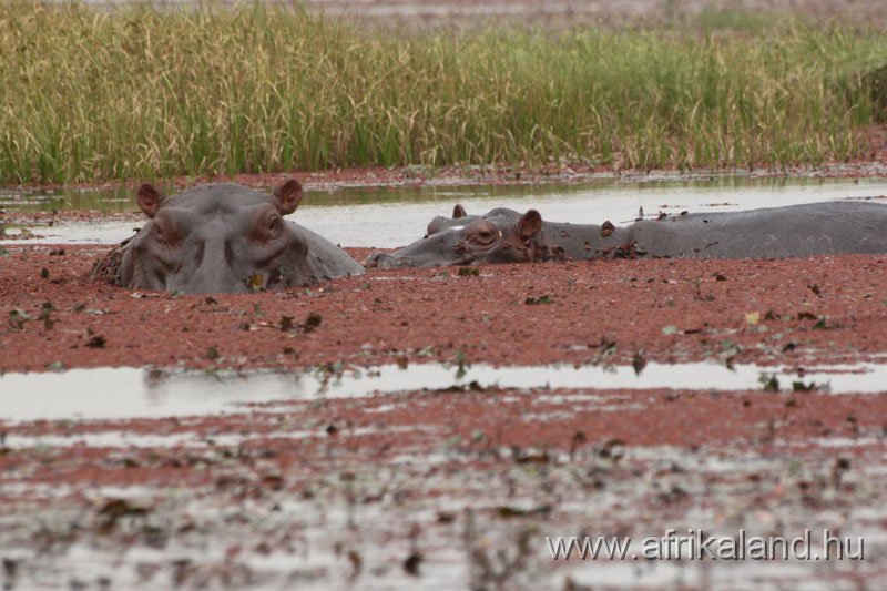 2011Burkina_0170.jpg