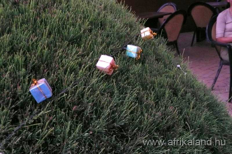 2011Burkina_0206.jpg - A karácsonyi díszek is fent vannak még