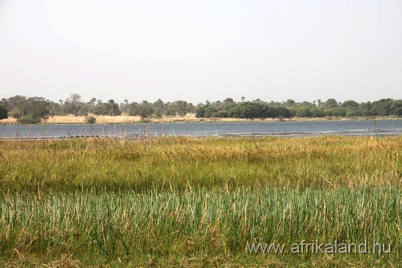 2011Burkina_0211.jpg