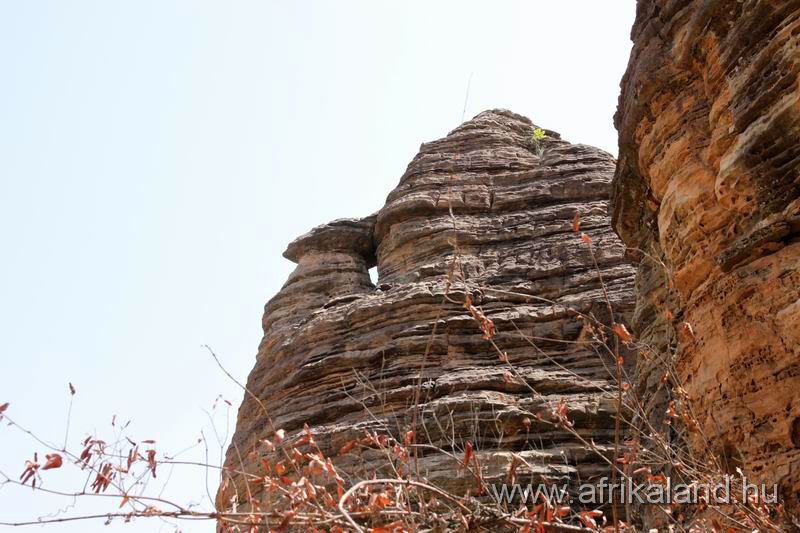 2011Burkina_0221.jpg