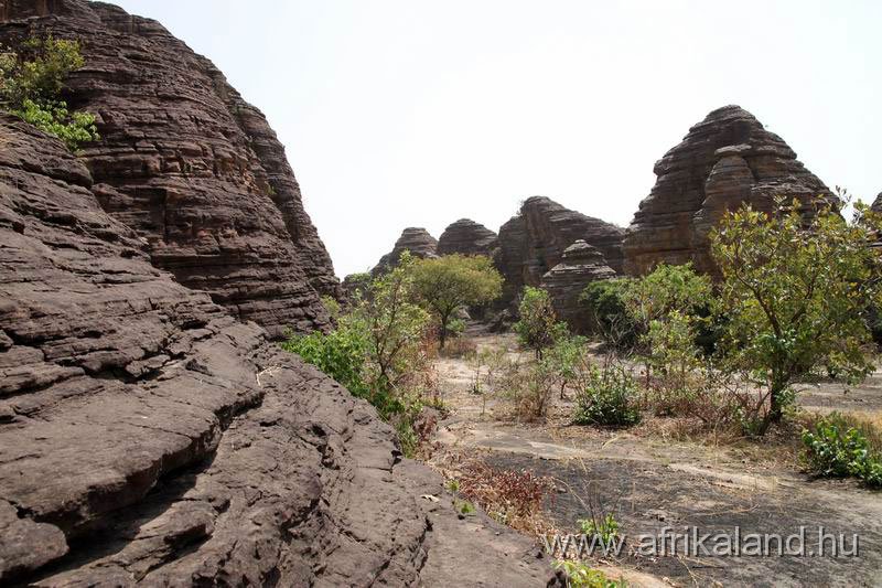2011Burkina_0225.jpg
