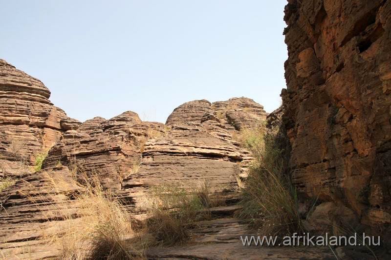 2011Burkina_0228.jpg