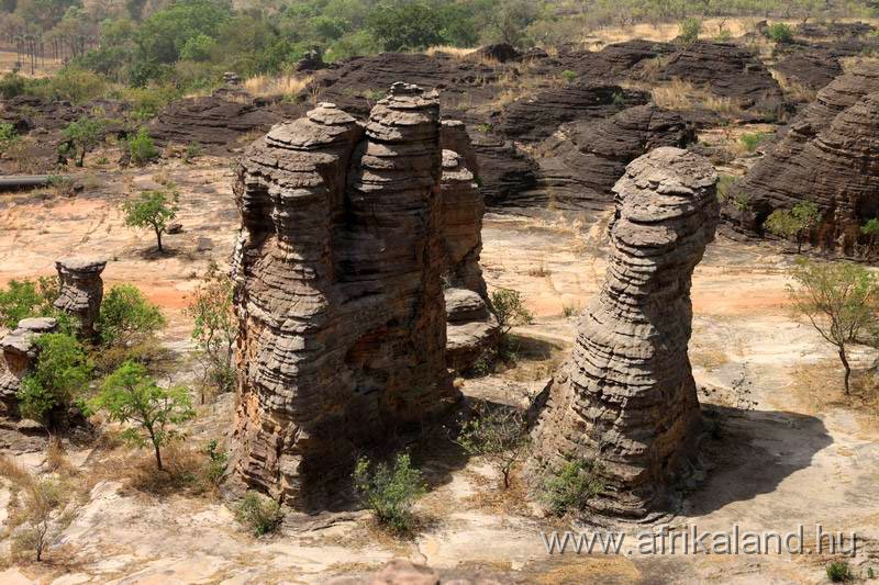 2011Burkina_0236.jpg
