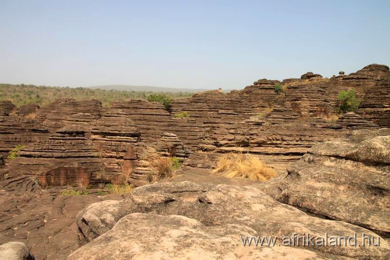 2011Burkina_0241.jpg