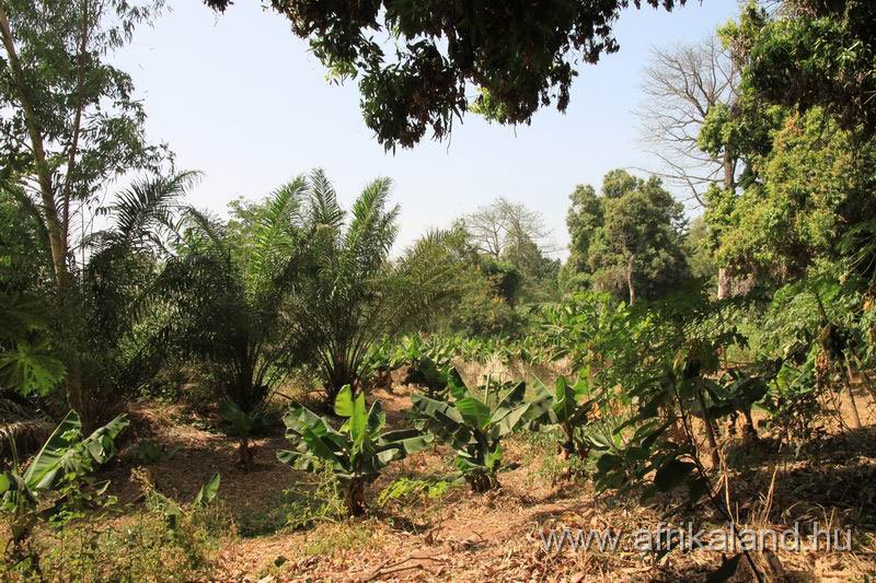 2011Burkina_0250.jpg