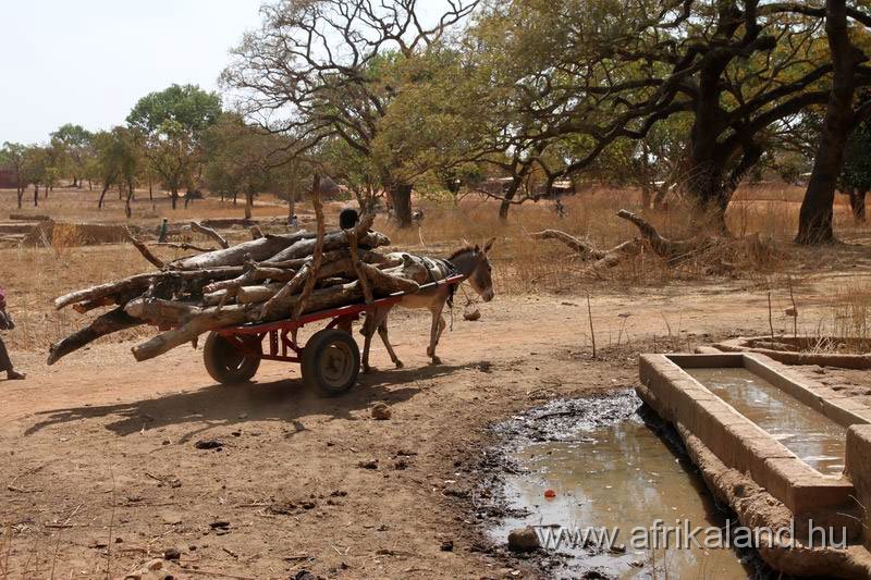 2011Burkina_0316.jpg
