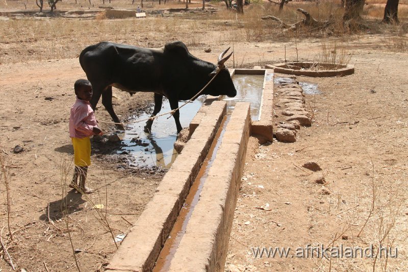 2011Burkina_0323.jpg
