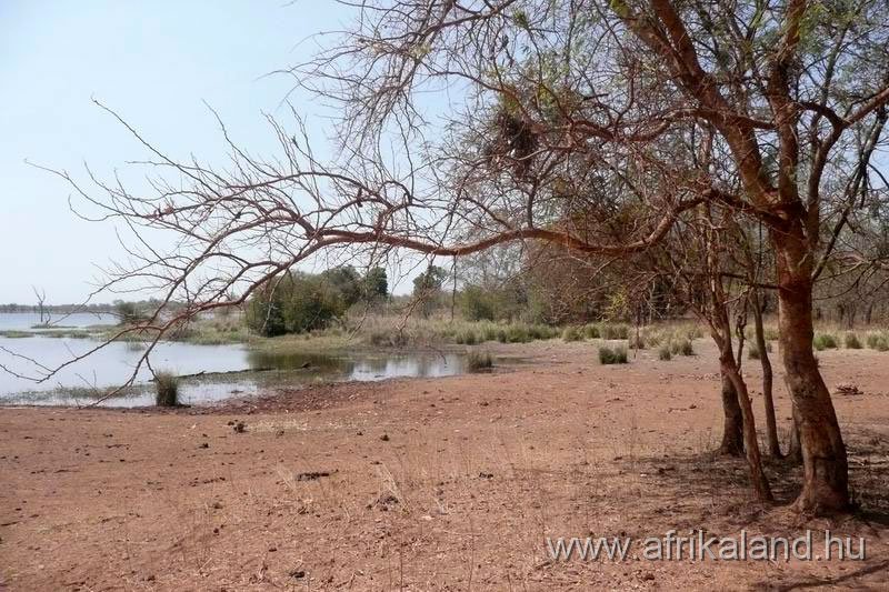 2011Burkina_0330.jpg