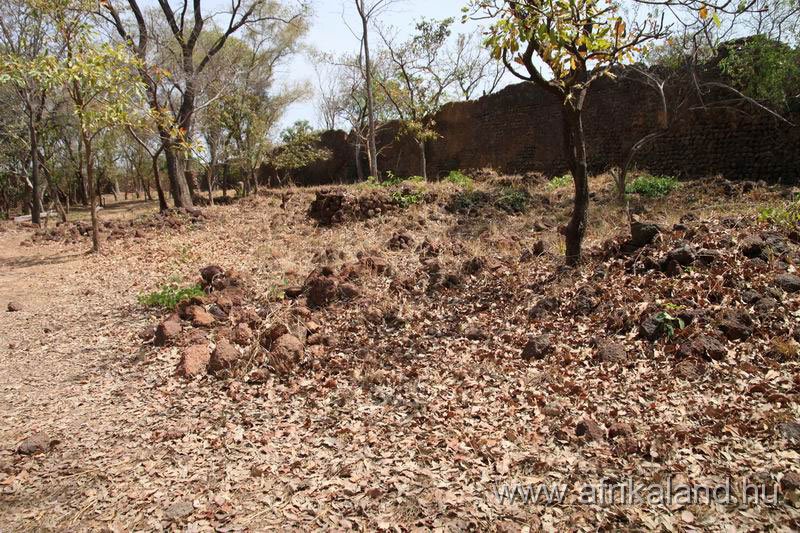 2011Burkina_0348.jpg
