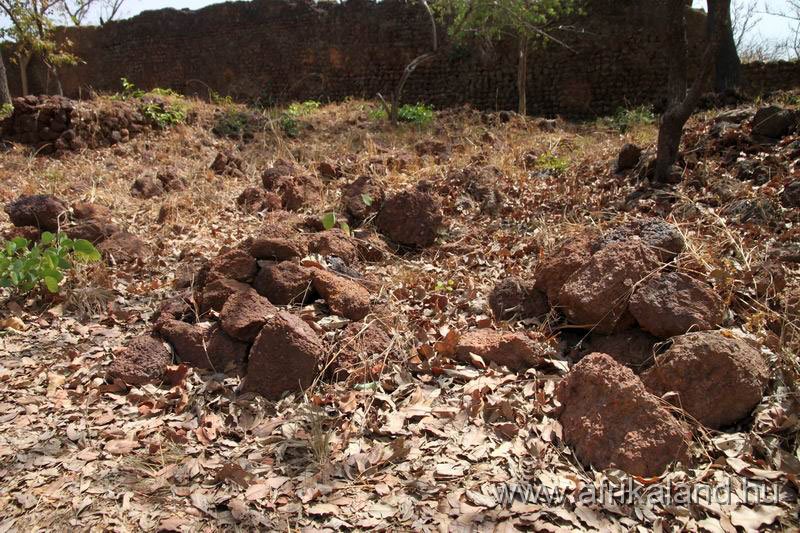 2011Burkina_0349.jpg