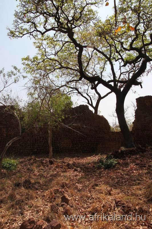2011Burkina_0350.jpg