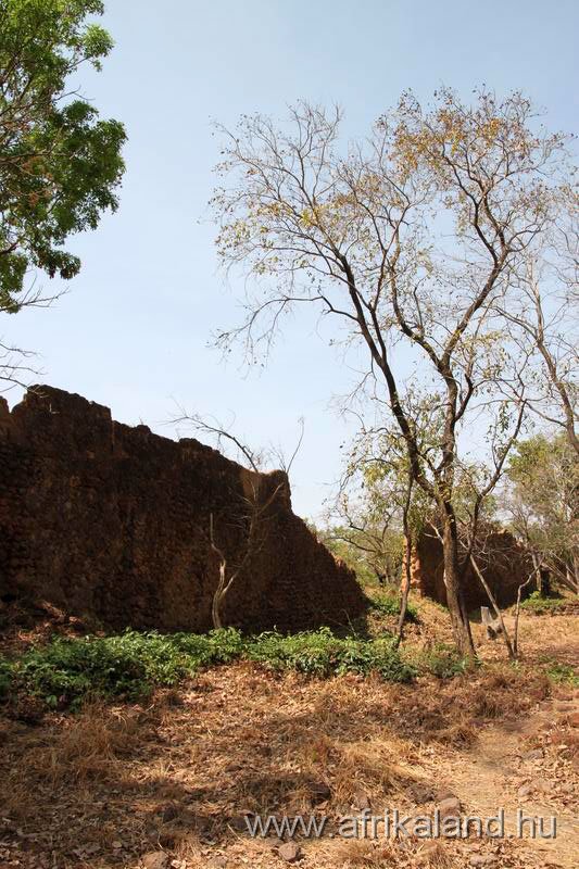 2011Burkina_0358.jpg