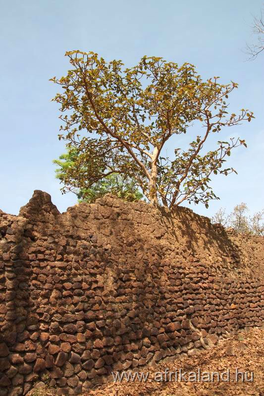 2011Burkina_0365.jpg