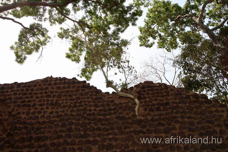2011Burkina_0374.jpg
