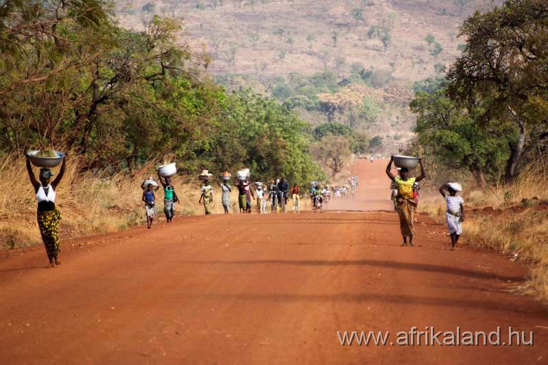 2011Burkina_0381.jpg - Heti bevásárlás. A nők több kilométert gyalogolnak a vasárnapi piacról hazafelé