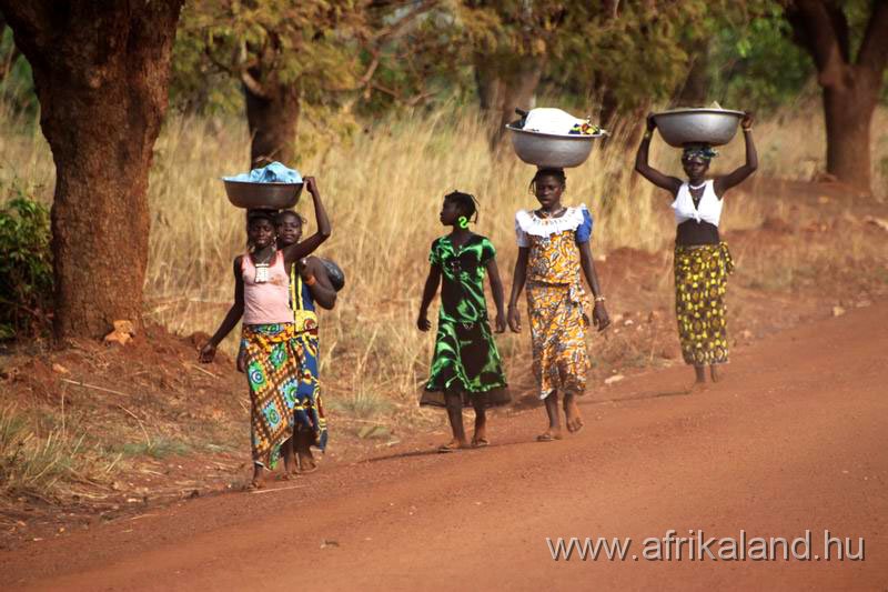 2011Burkina_0382.jpg