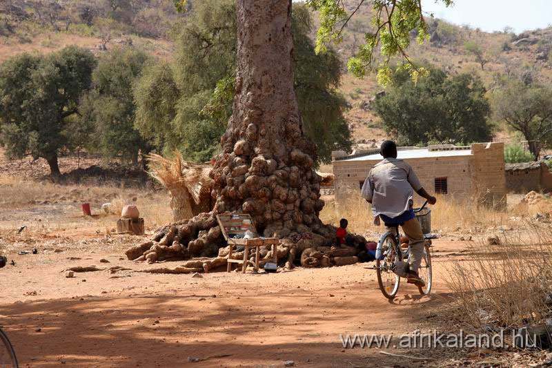 2011Burkina_0425.jpg