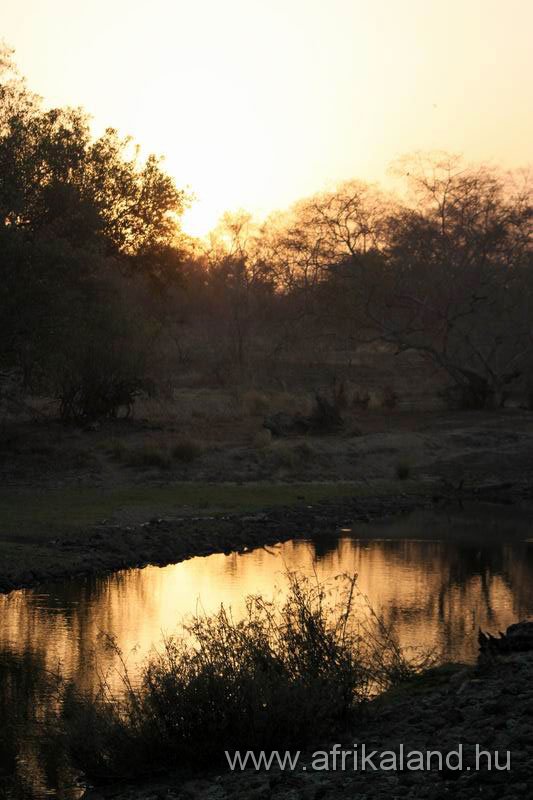 2011Burkina_0477.jpg