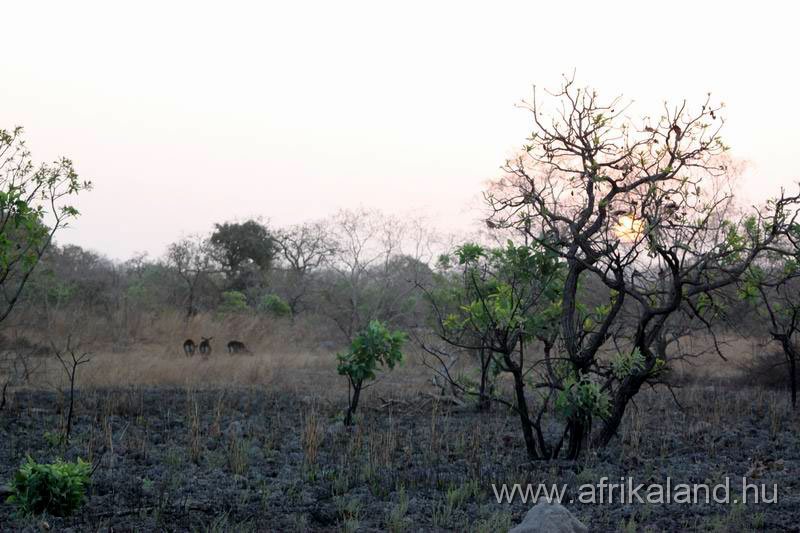 2011Burkina_0478.jpg