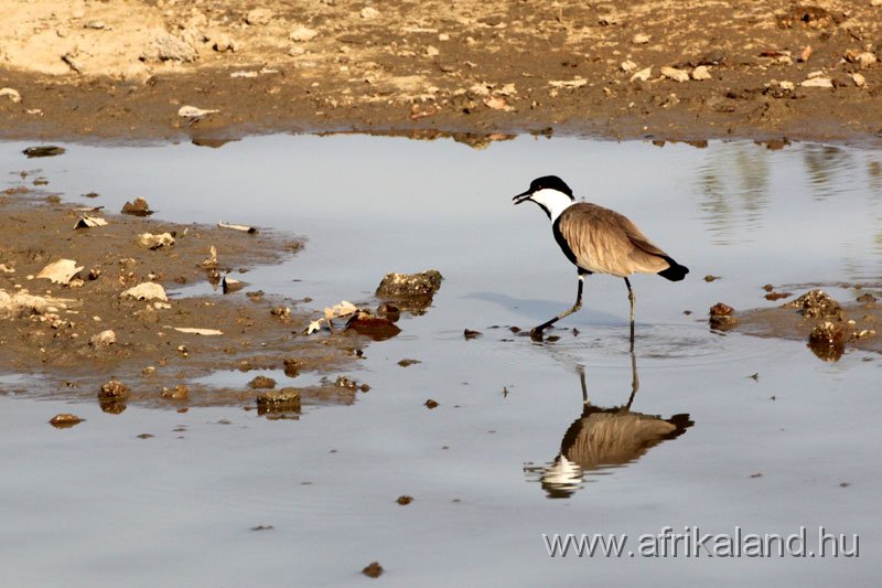 2011Burkina_0489.jpg