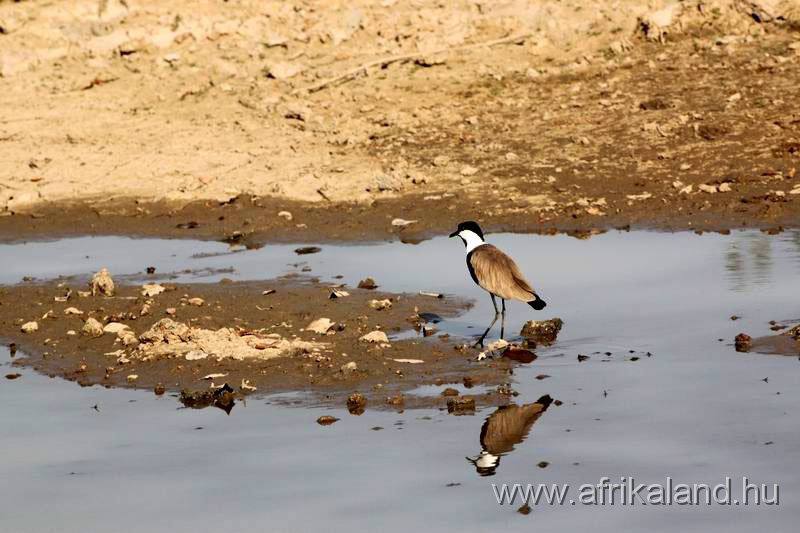 2011Burkina_0490.jpg