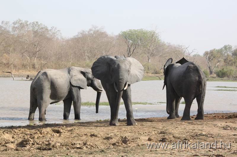 2011Burkina_0493.jpg