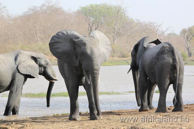 2011Burkina_0494.jpg